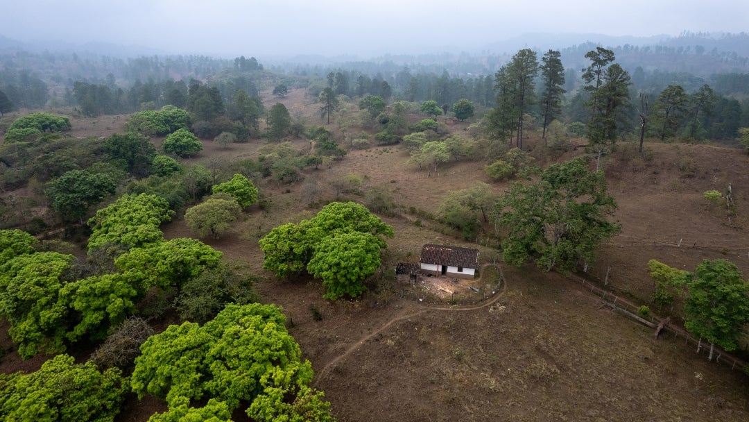 Subirana, Honduras