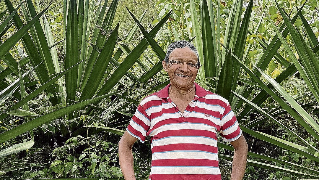 Isidro Paja, agricultor de fique