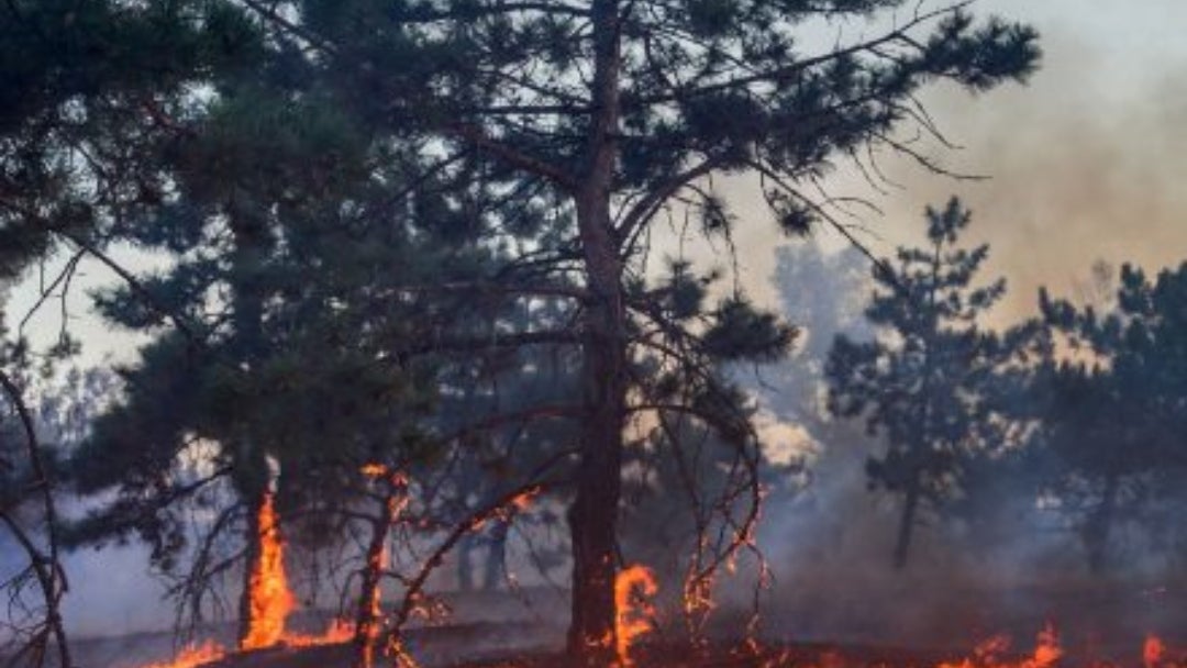 Incendios en Brasil