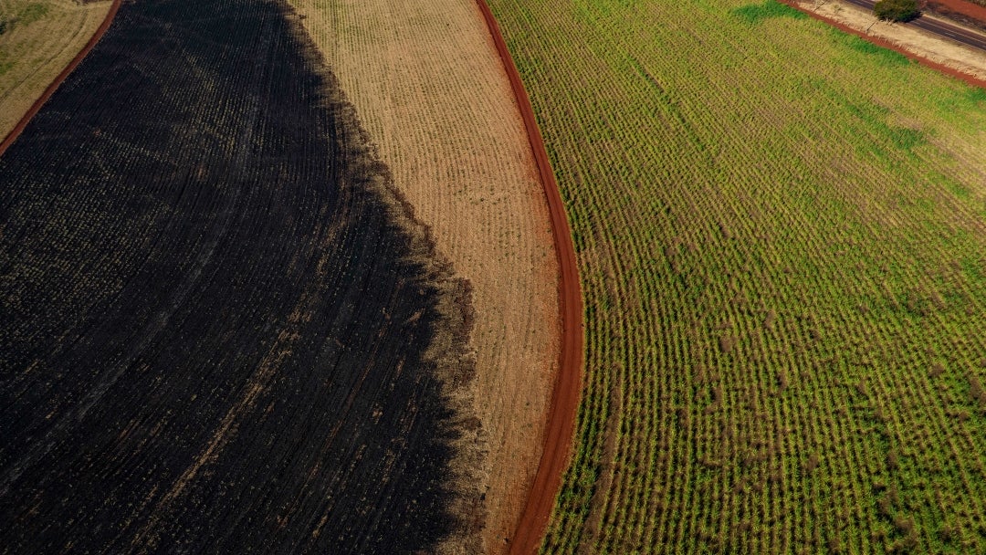 Incendios en el campo de cosecha de caña de azúcar