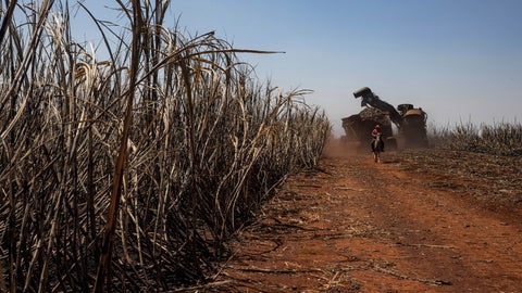 Incendios en Brasil