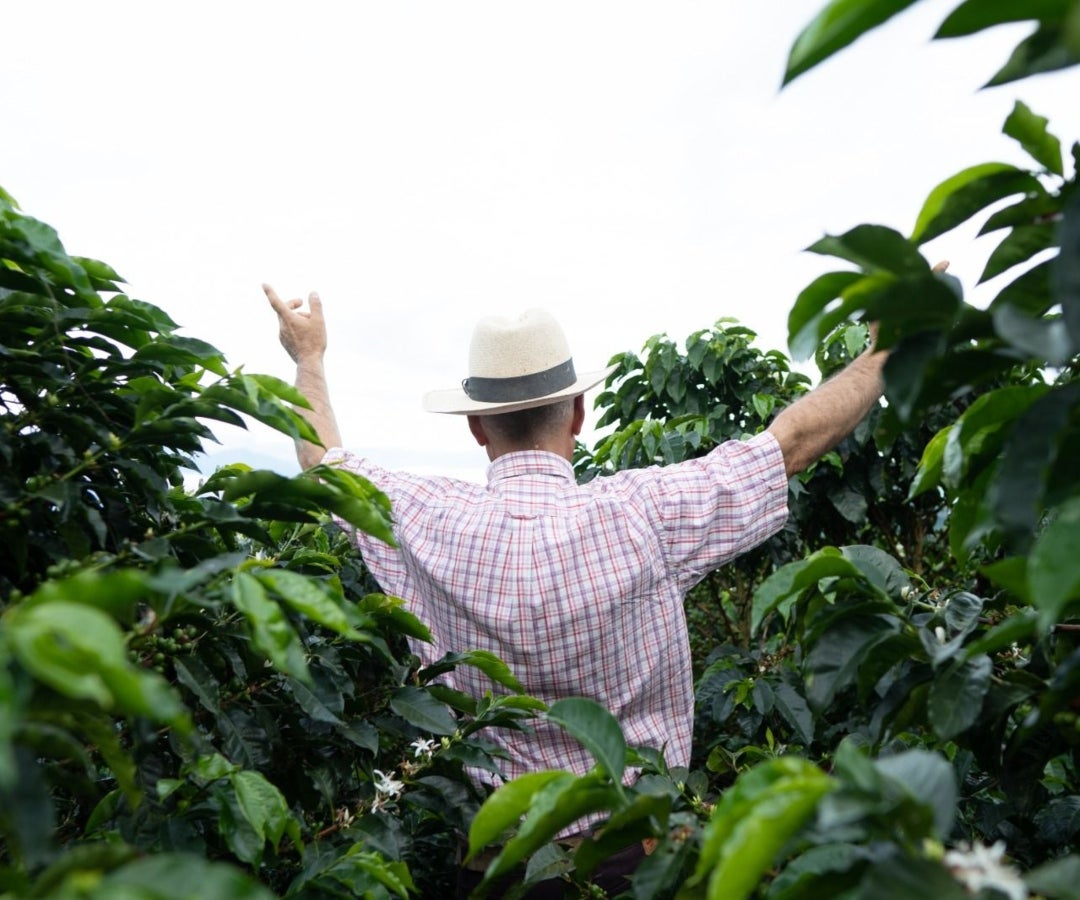 Financiamiento del agro