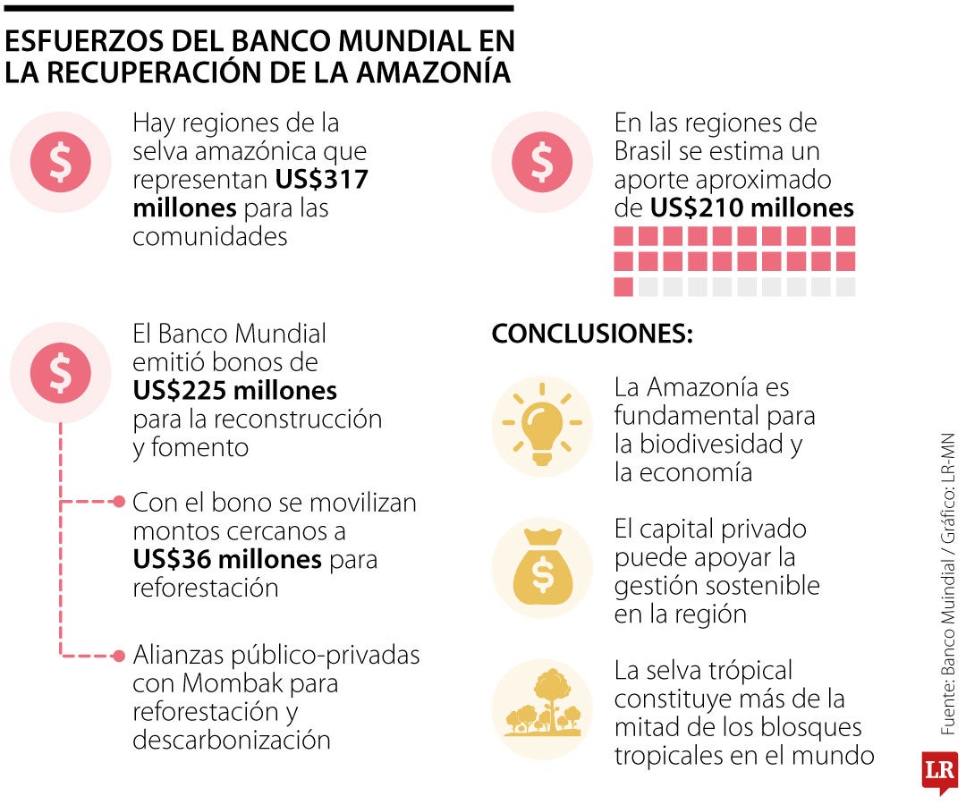 El Banco Mundial señaló que la Amazonía representa más de la mitad de los bosques tropicales que aún existen en el planeta.