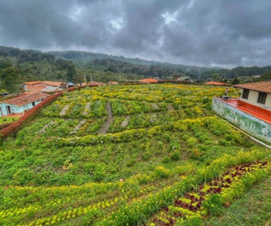 Se han reconocido y entregado en total 1.739.347,8 ha