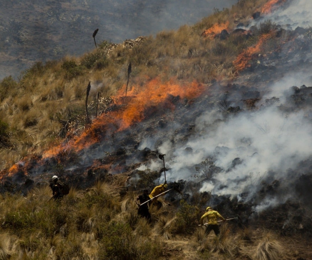 Incendios en bosques peruanos