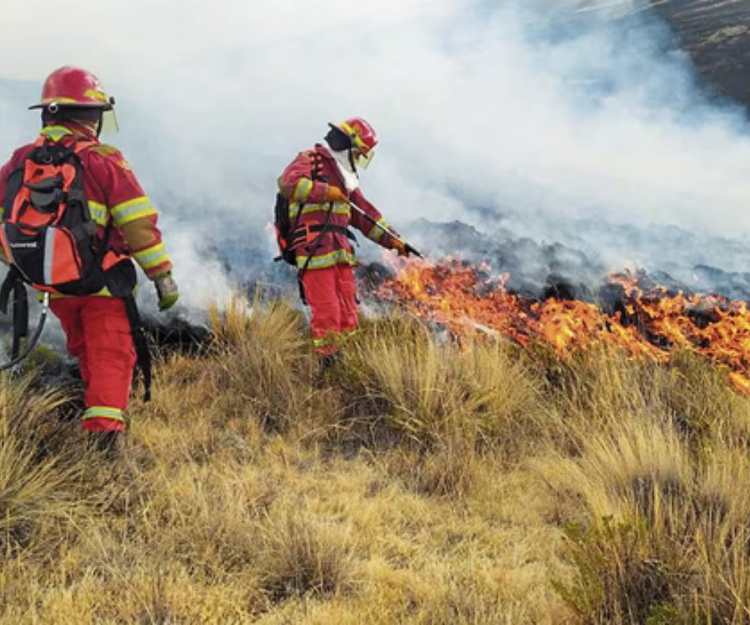 Solo hasta agosto, se tuvieron 192 incendios forestales en Perú