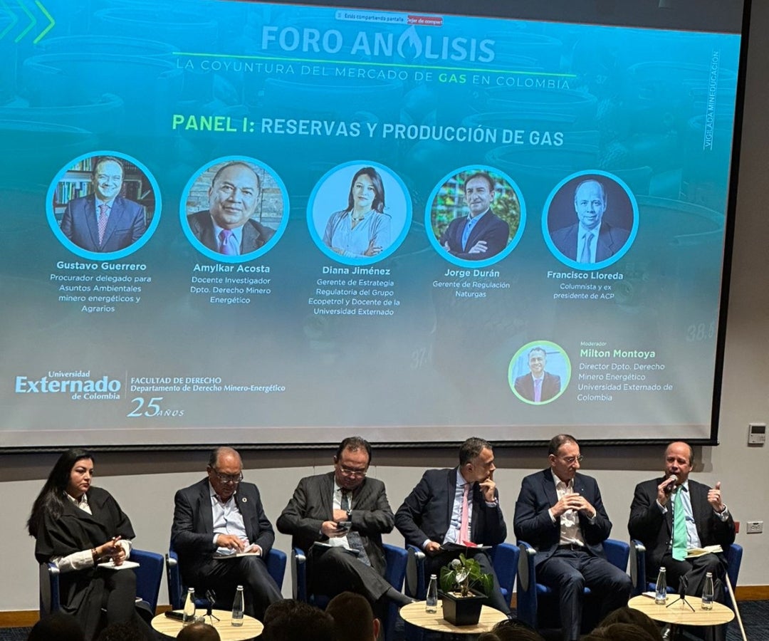 Panel sobre reservas y producción de gas en la Universidad Externado.