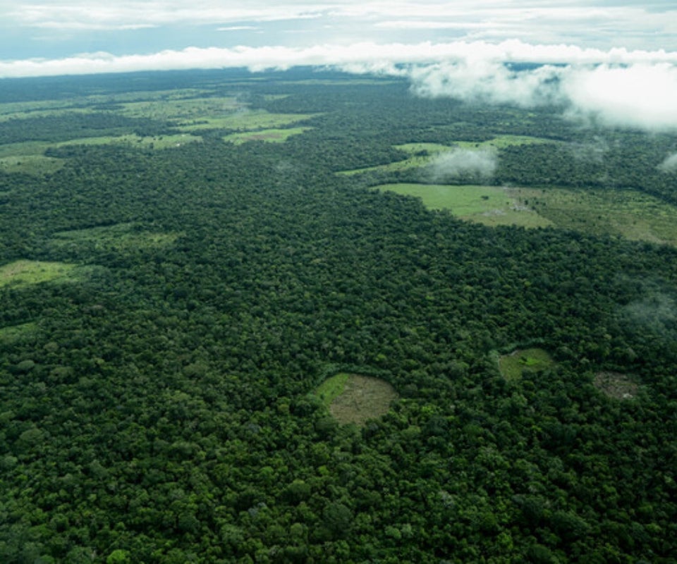 Reserva ambiental