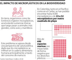 Microplásticos son una amenaza Microplásticos son una amenaza
