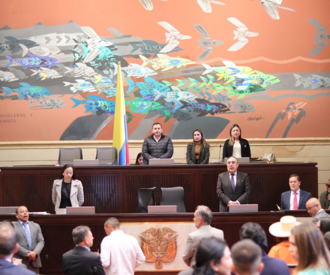 Vista general de la plenaria de la Cámara de Representantes