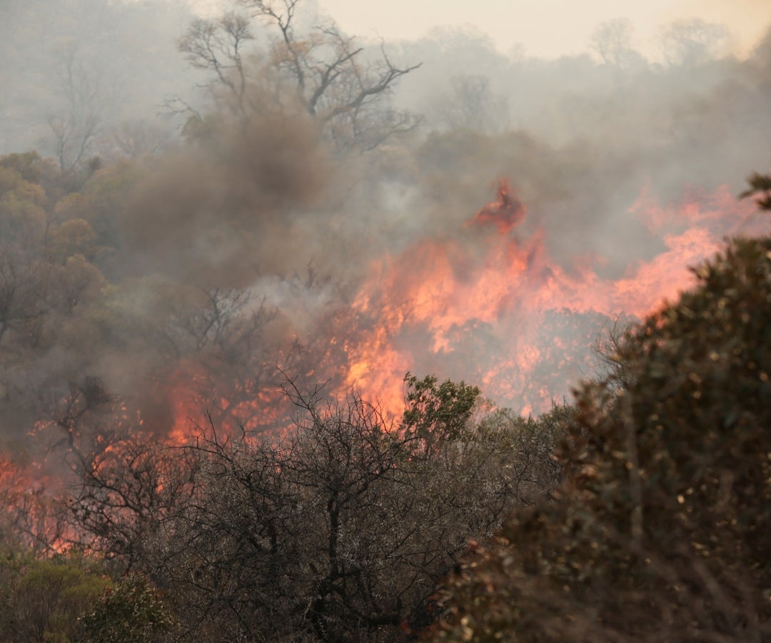 Incendio forestal en Córdoba, Argentina