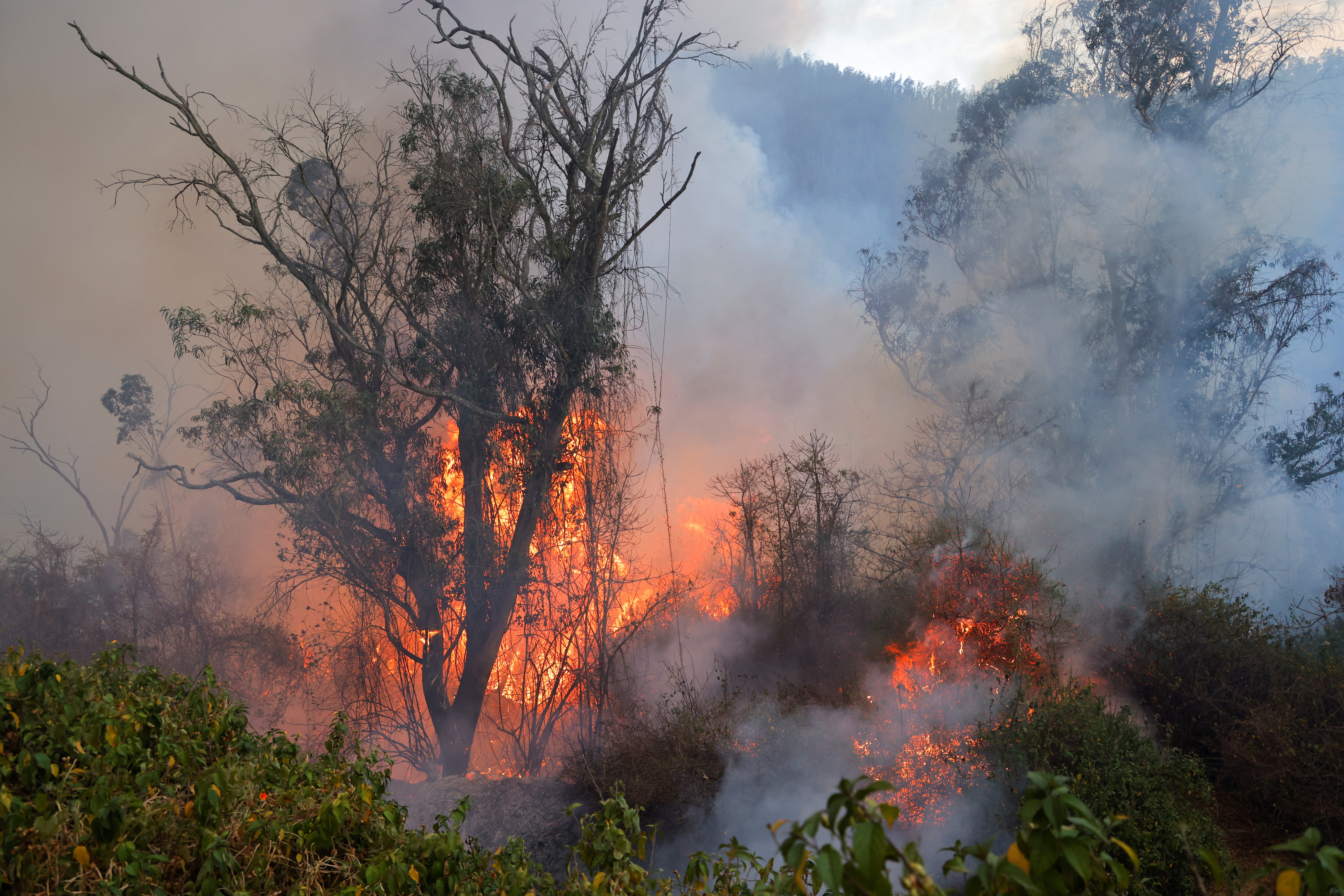Incendios forestales en Quito