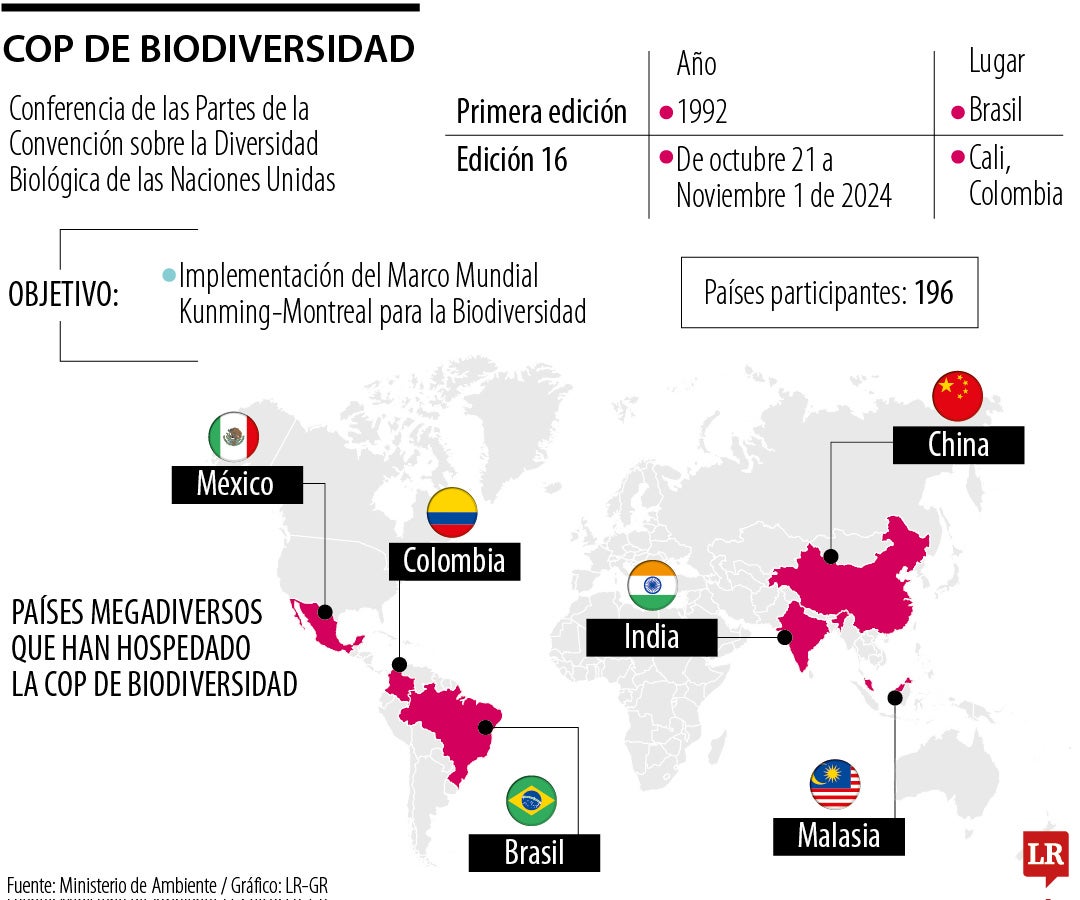 COP16