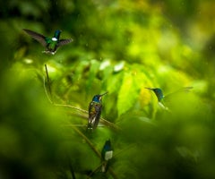 1920x540_COP16_120473049_xl_normal_none