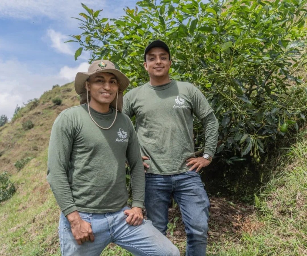 Trabajadores de Avovite