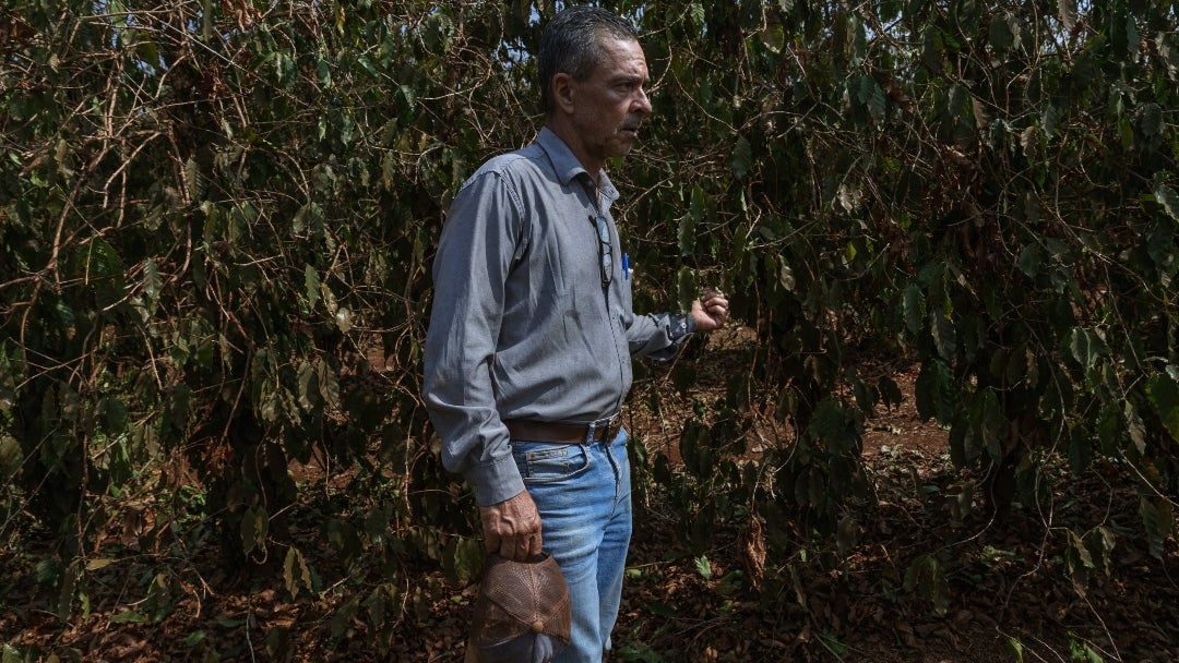 José Orlando Cintra, agricultor brasilero