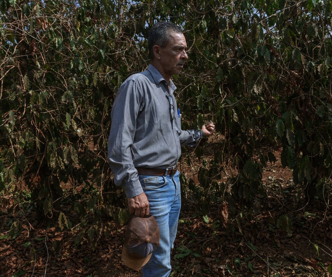 José Orlando Cintra, agricultor brasilero