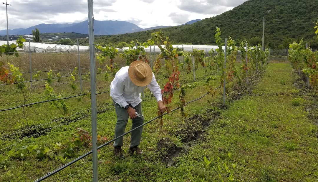John Edward Franco, CEO de Remus John Edward Franco, CEO de Remus
