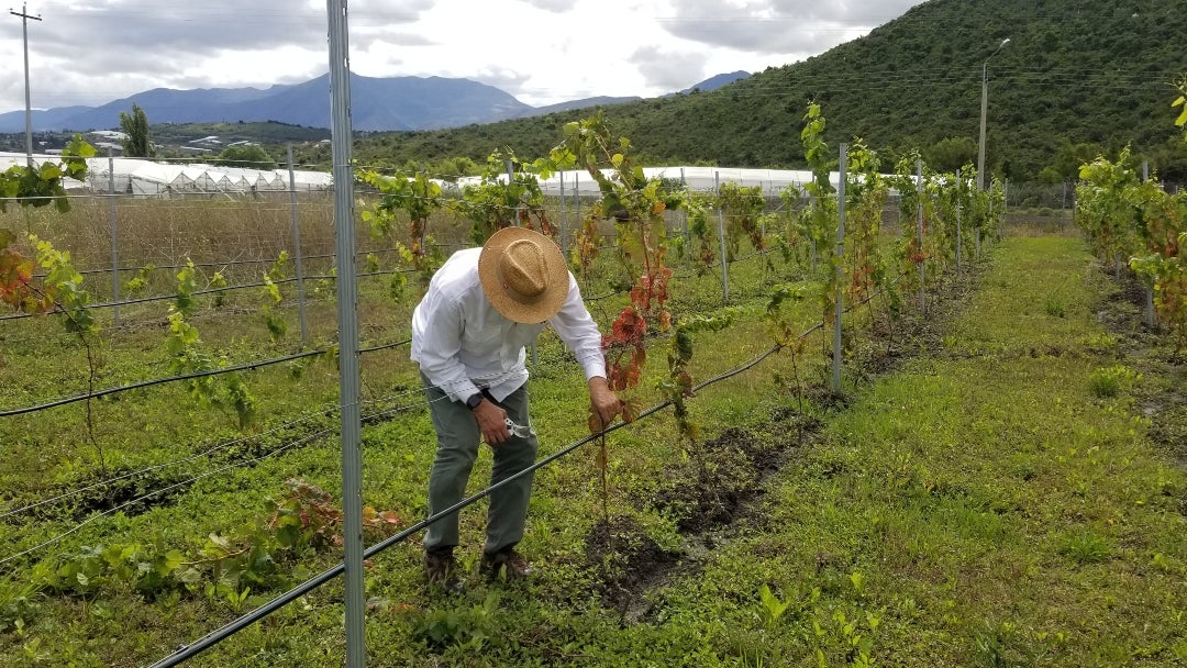 John Edward Franco, CEO de Remus John Edward Franco, CEO de Remus