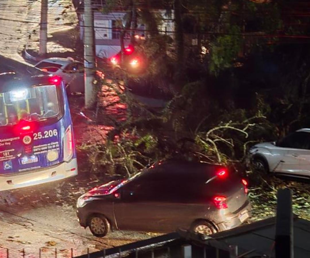 Las lluvias dejan cinco muertos y más de un millón de personas sin luz en Sao  Paulo