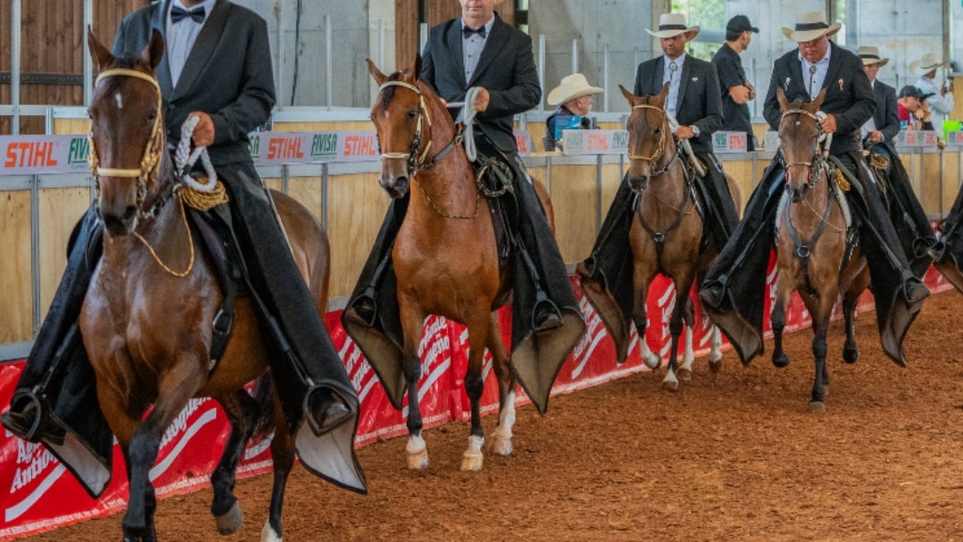 Jornada final de ExpoSede 2025 con la competencia en las modalidades de trote, galope y trocha Jornada final de ExpoSede 2025 con la competencia en las modalidades de trote, galope y trocha
