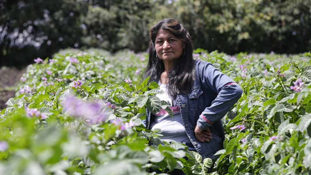 Mujer rural