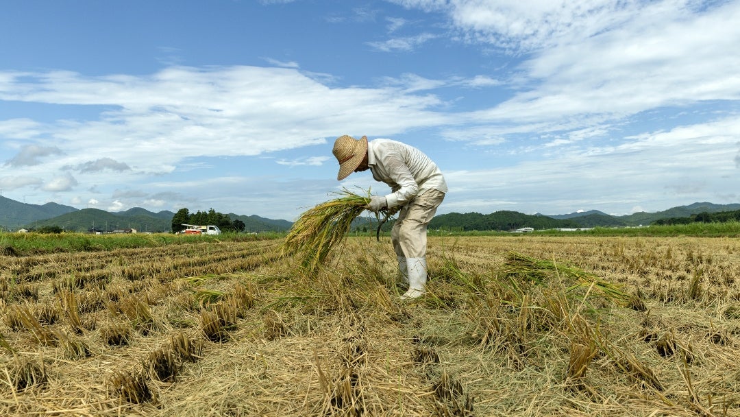 Agricultor