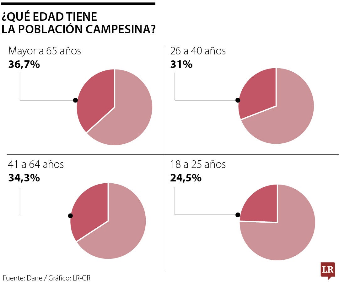 Según el Dane los campesinos tienen entre 41 y 64 años