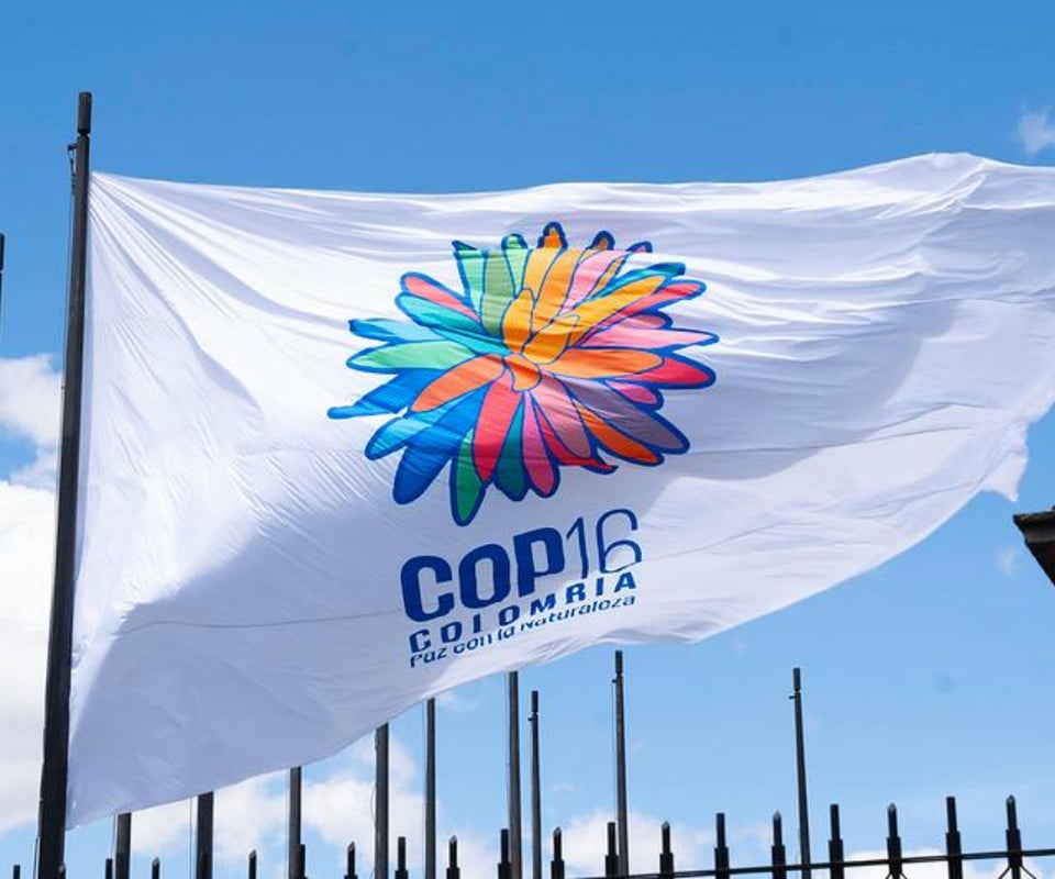 Bandera de la COP16 ondeando