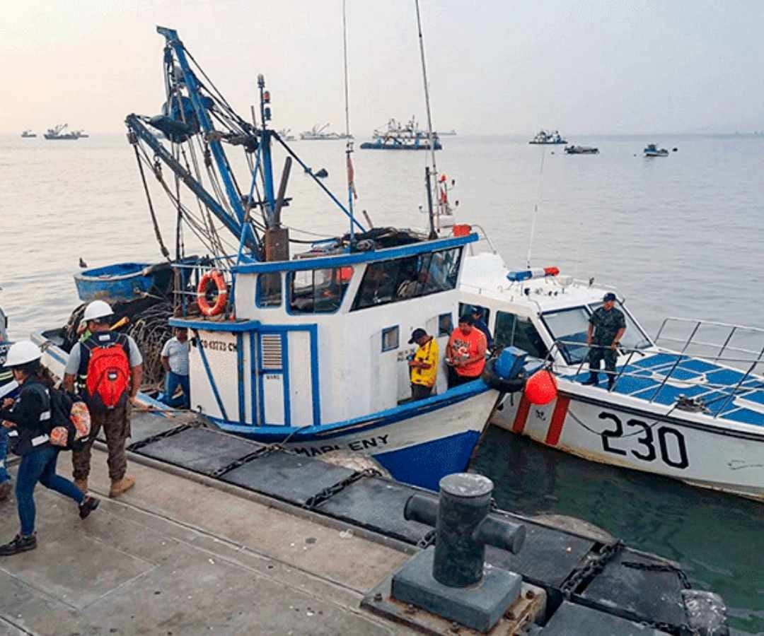 La pesca ilegal tenía vacíos legales para algunas autoridades