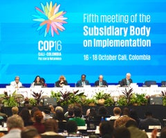 Vista general de un evento previo a la realización de la COP16 de Cali Vista general de un evento previo a la realización de la COP16 de Cali