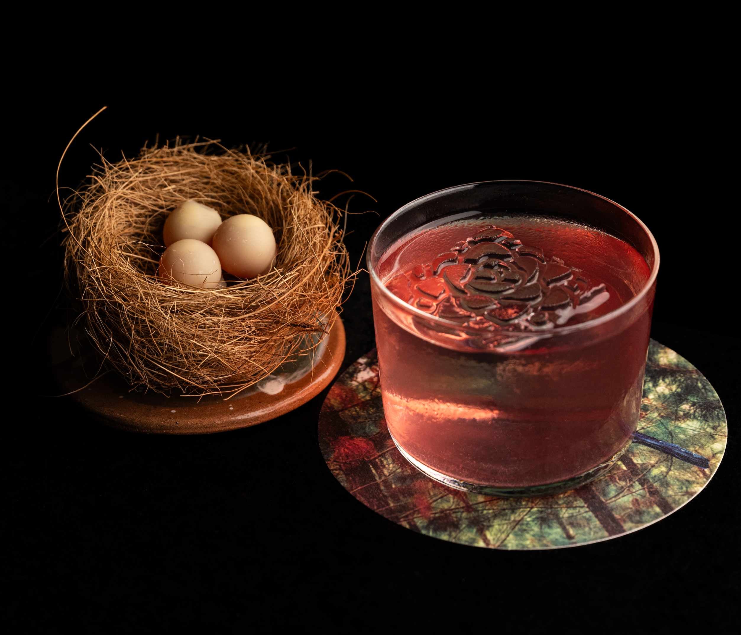 La Tangara de Montaña, territorio Prontoalivio, uva y pino, perfume de bosque andino junto a su nido. Foto: Gonzalo Picón. 