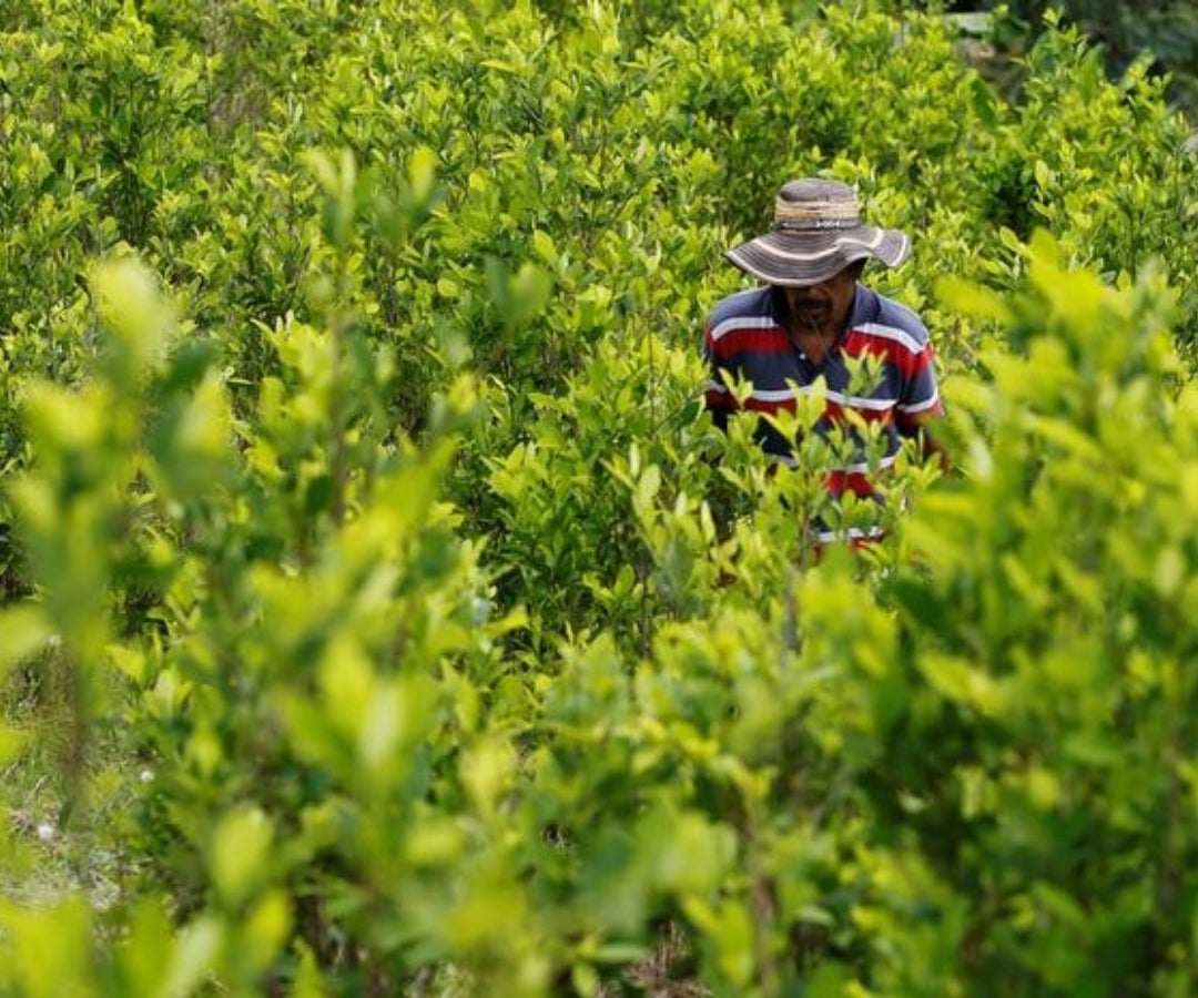 Se han levantado cuestionamientos sobre el decreto, porque implicaría una presunta violación al artículo 375 del Código Penal