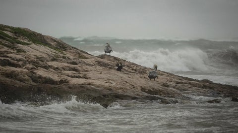 Océano Atlántico