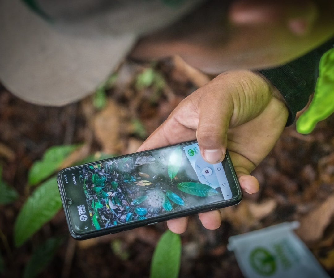 con la Tarjeta Débito Verde, que destinan 1% de sus compras al proyecto de reforestación.