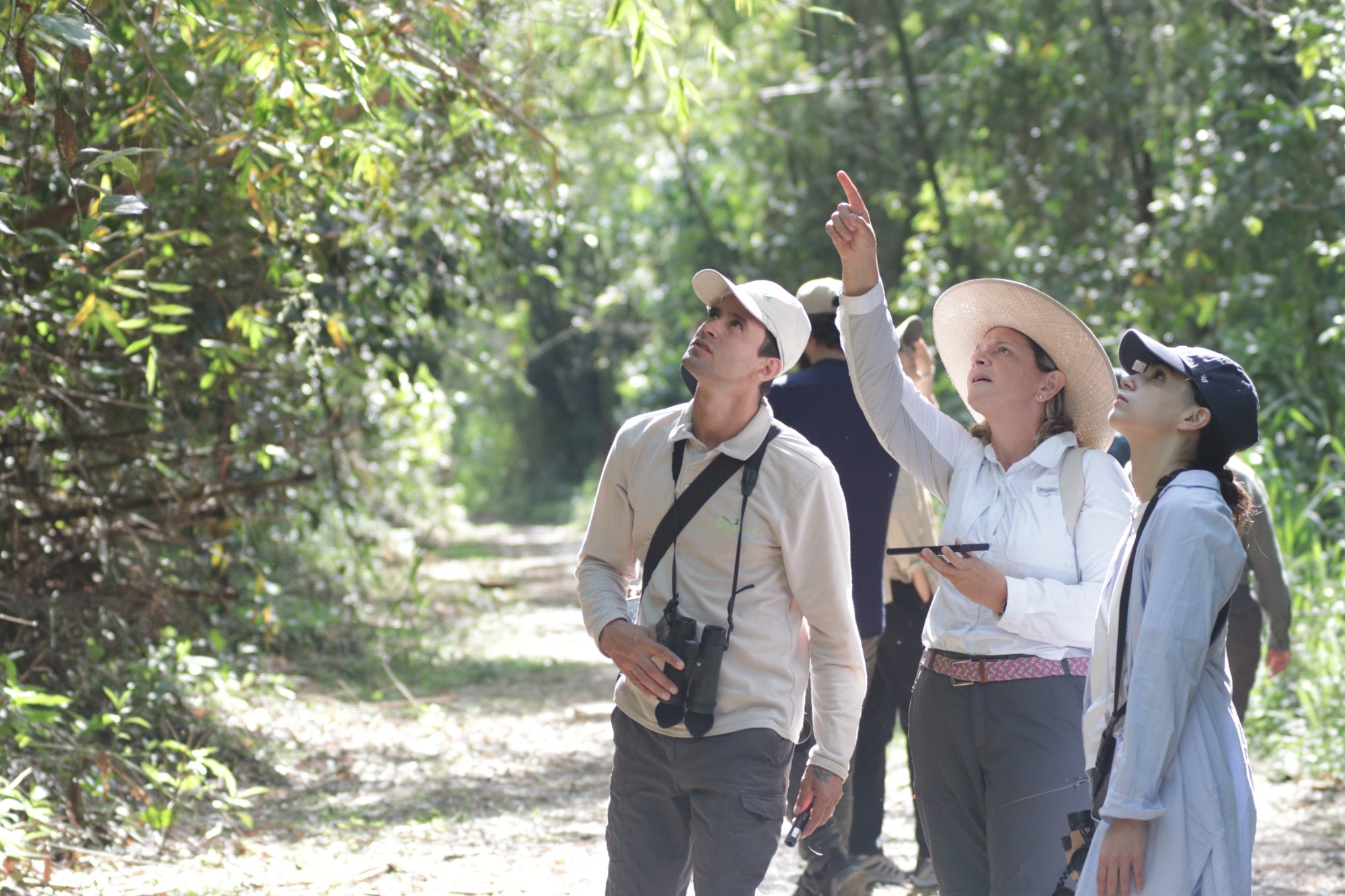 El Parque Ecológico Providencia puede personalizar sus recorridos de pajareo.