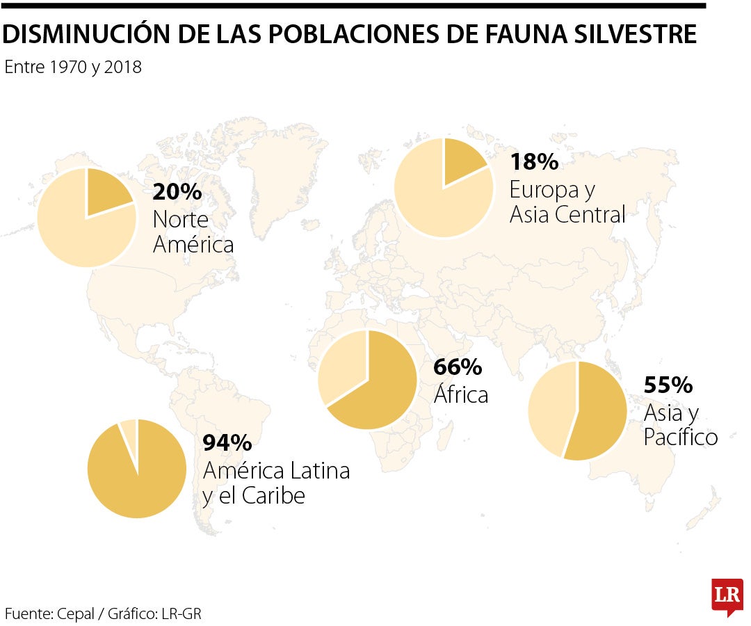 Disminución biodiversidad