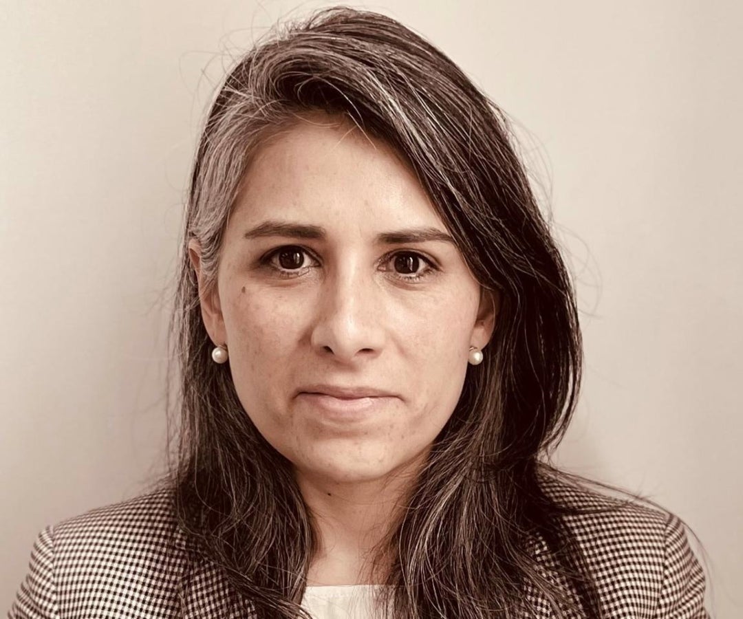 Lina María Mondragón Artunduaga vicepresidente director de sostenibilidad y estrategia de Corficolombiana