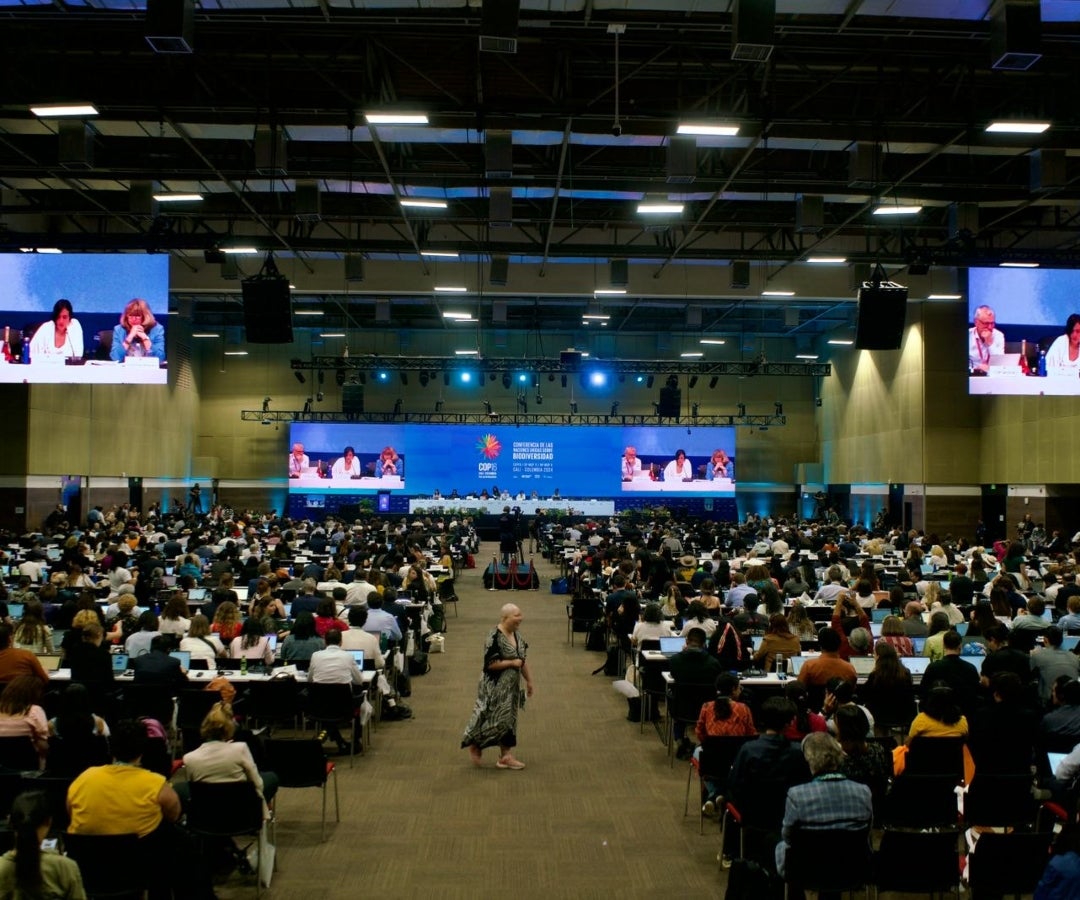 Plenaria de la COP16