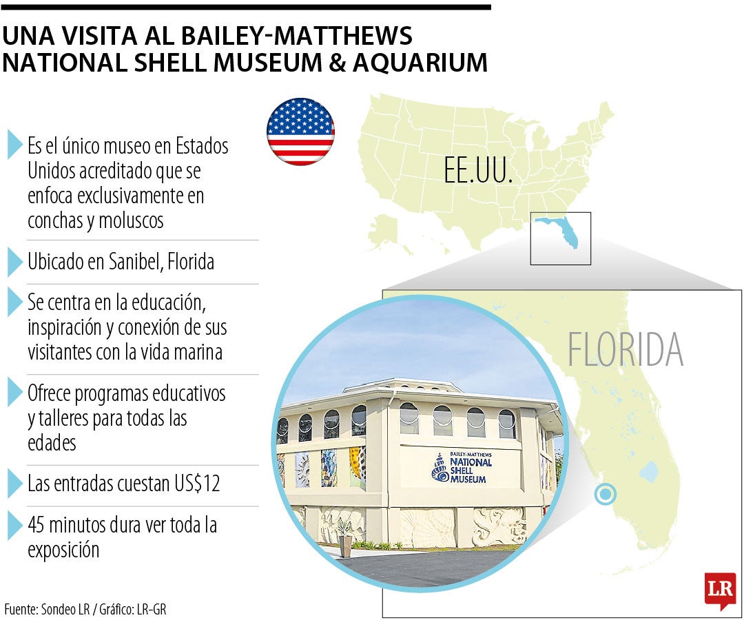 Así es el Bailey-Matthews National Shell Museum