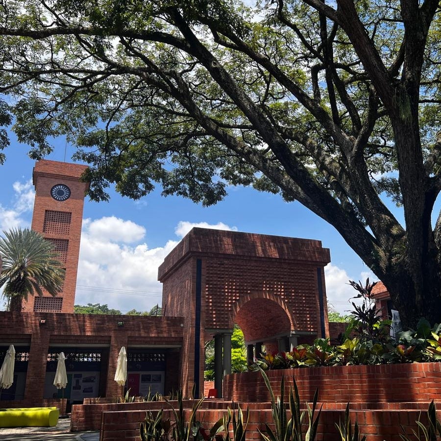 La Universidad Icesi lanzó un HUB de Desarrollo de Negocios para ...