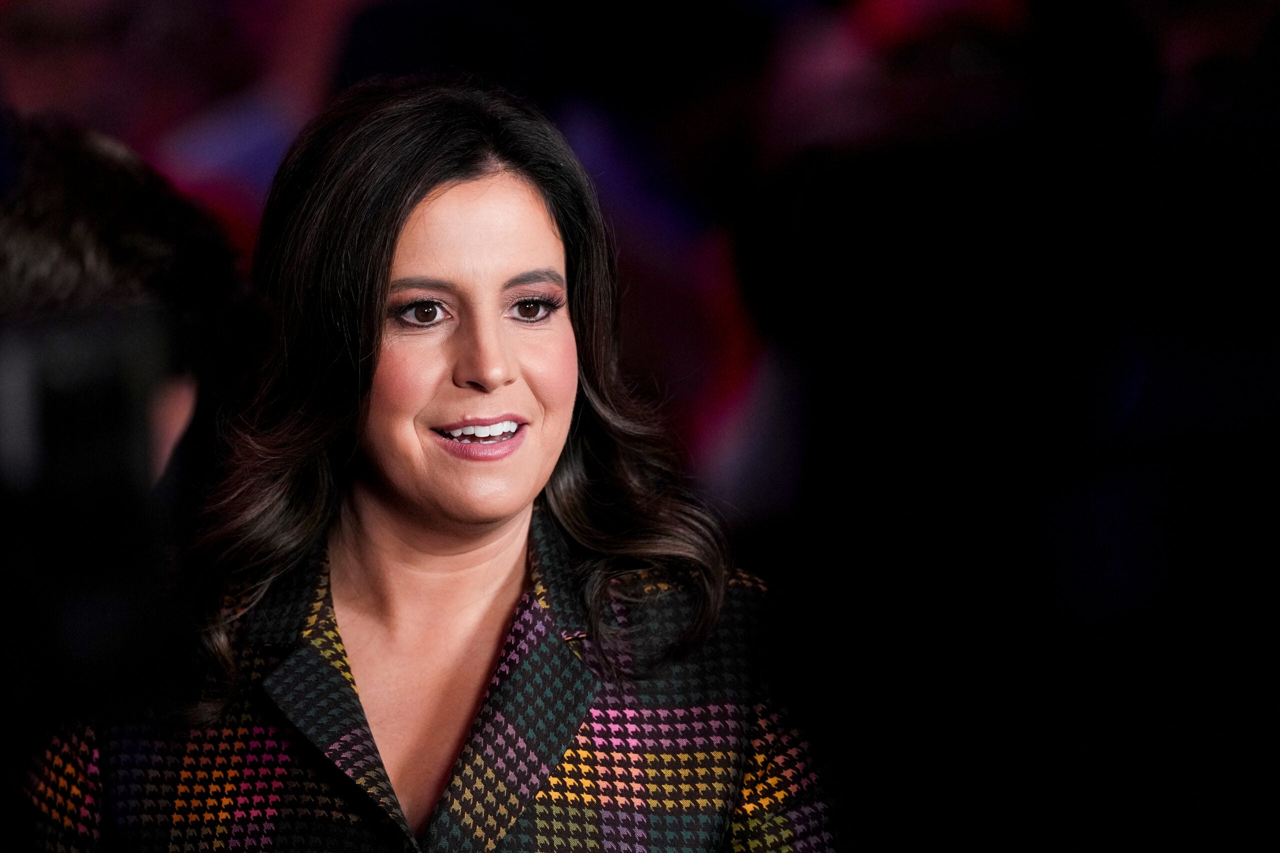 Elise Stefanik, Embajadora de la ONU