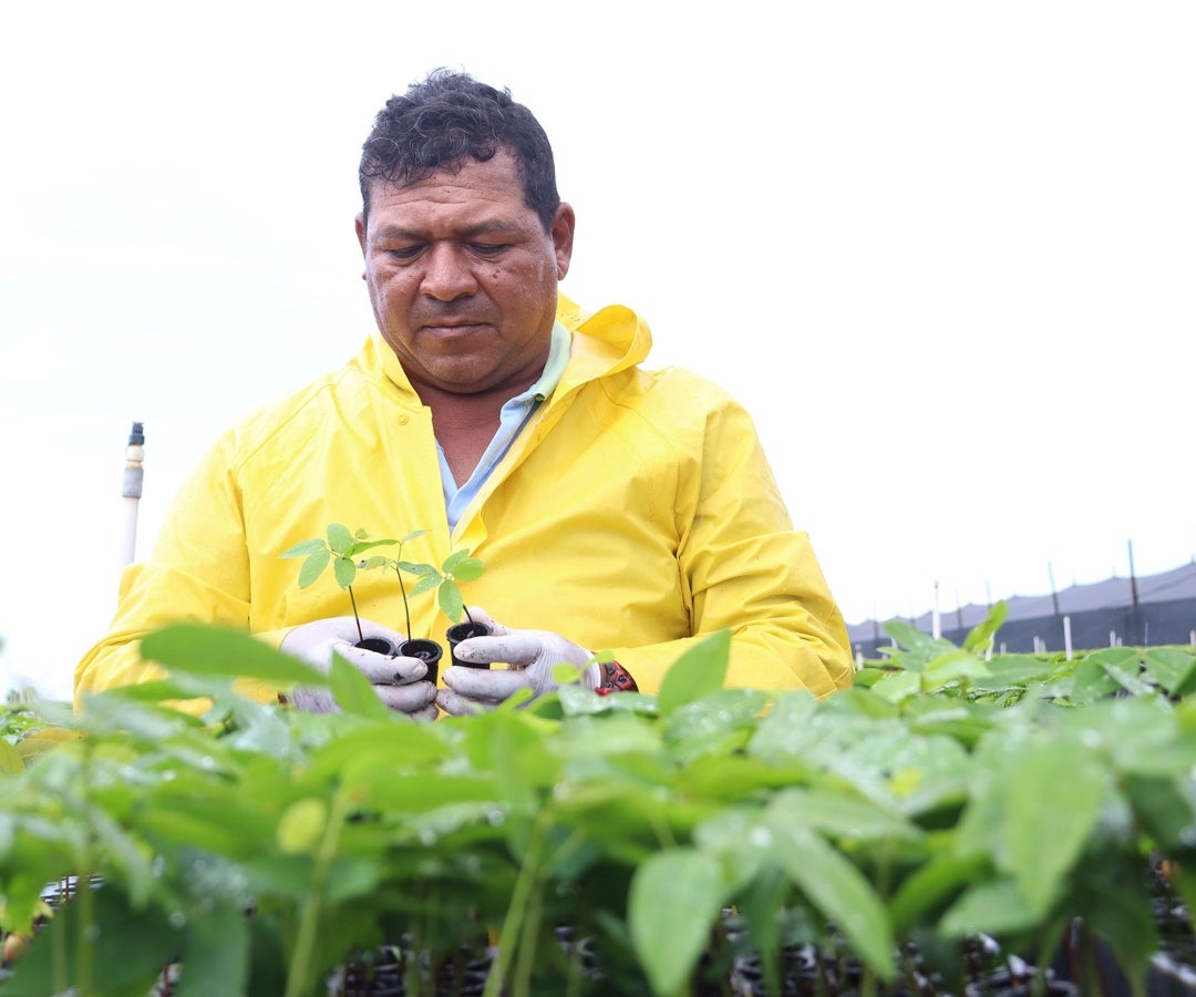 Trabajador del proyecto 'Brújula Verde'