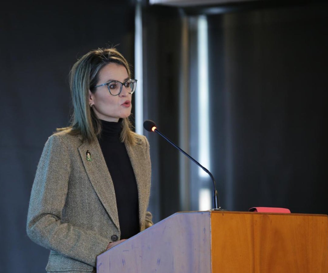 María Carolina Castillo, presidente de Probogota