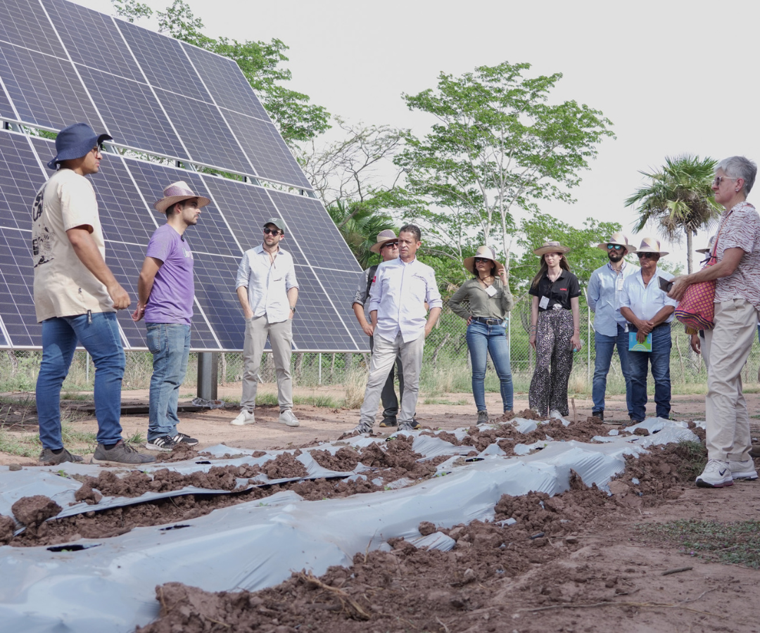 Minigranja solar en Santander