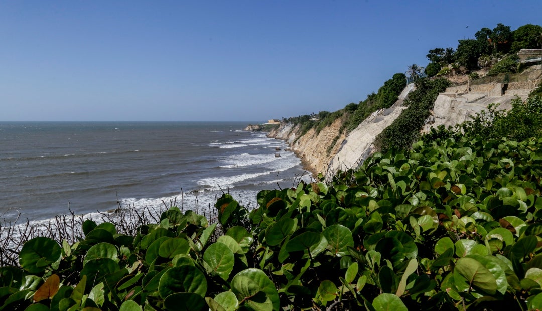 El agua salada puede ser un arma de doble filo para la producción de los alimentos