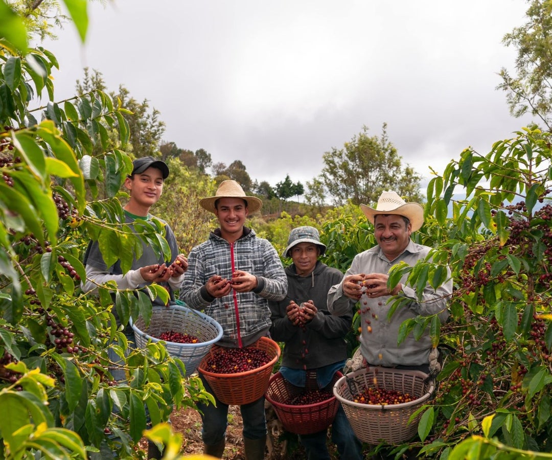 Cafateros renuevan alianza con Banco de Bogotá