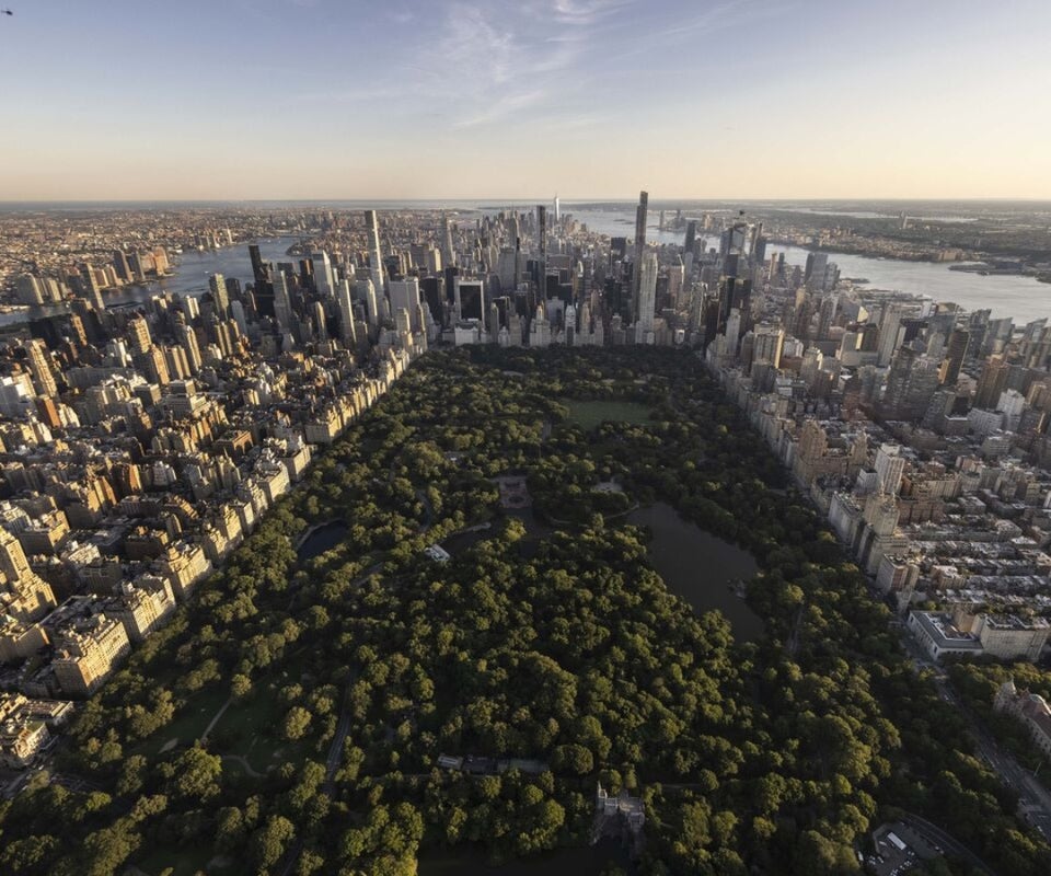 Central Park de Nueva York