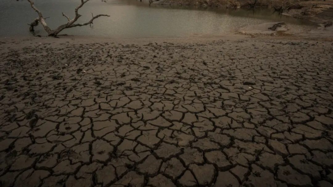 Será el primer año en el que la temperatura media mundial supere en 1,5 grados Celsius