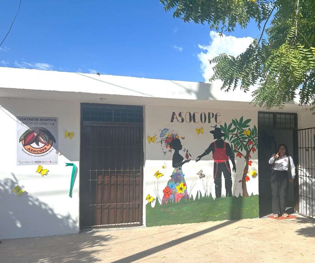 Centro de Acopio cacaotero